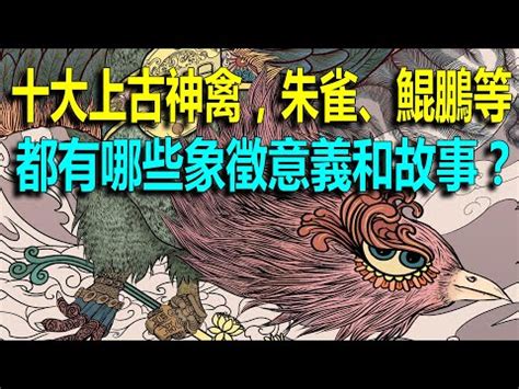 朱雀象徵|朱雀象徵什麼？